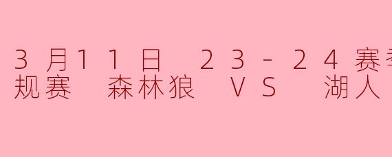 3月11日 23-24赛季NBA常规赛 森林狼 VS 湖人